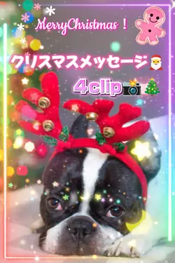 クリスマスメッセージ