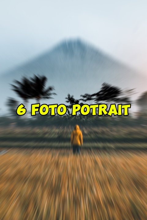 6 fotos de retrato