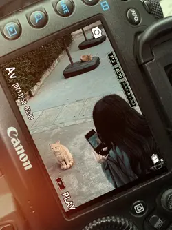 กล้องดิจิตอล