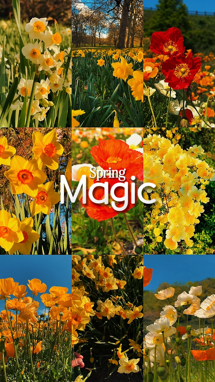 Spring magic