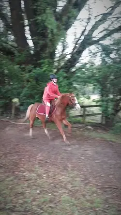 Slowmo x
