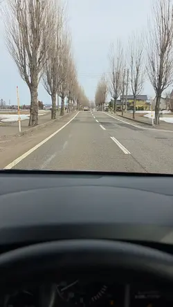 雪解けの道を走る