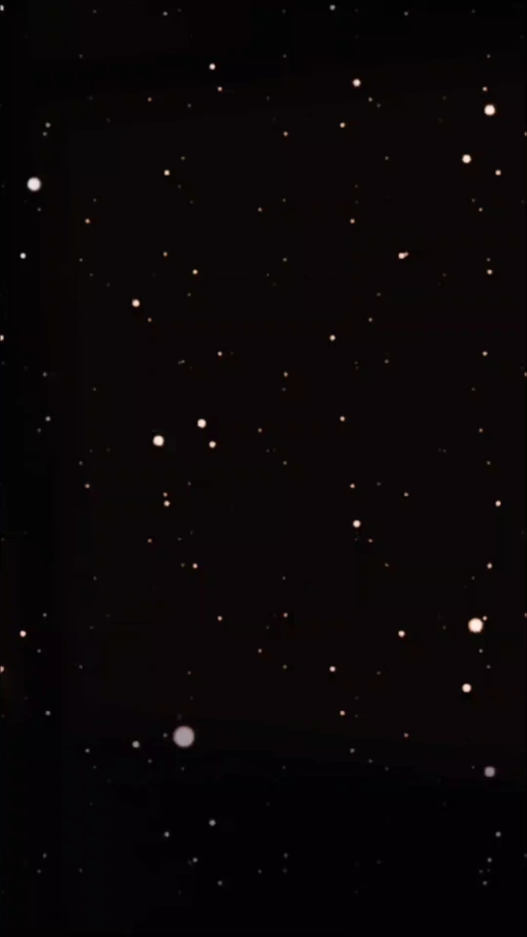 nerelisin