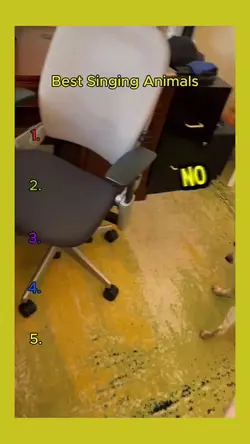 Tiktok Viral