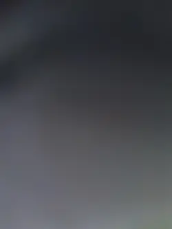 Bibadibabadiboo