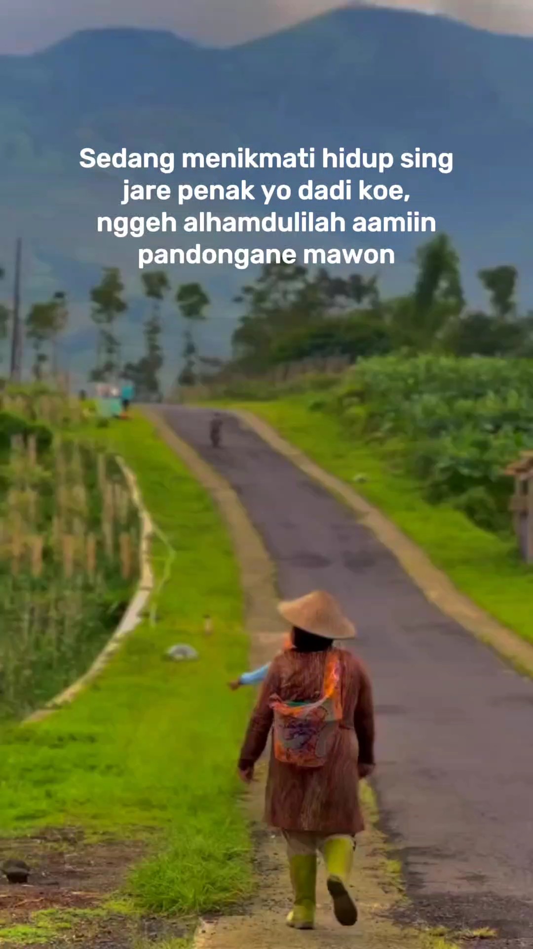 story wa