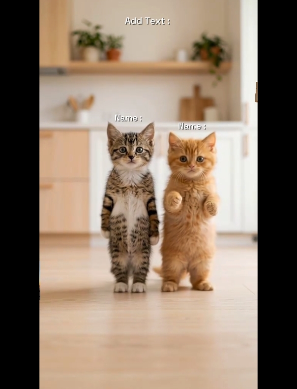 Tren Kucing Tari