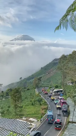 alamak raya lagi