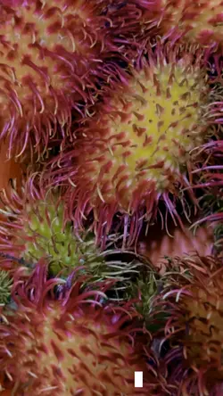 Buah Rambutan