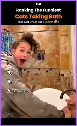 RANKING THE FUNNIEST
