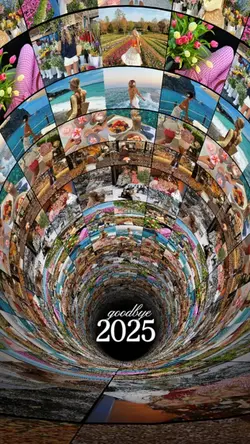 Goodbye 2025