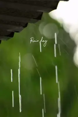 Hạt mưa rơi…