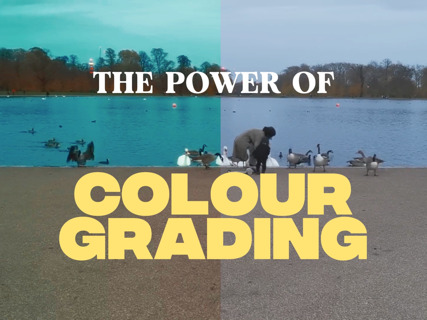 Calificación de color