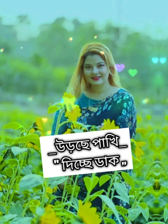 শীতের শুভেচ্ছা রইল