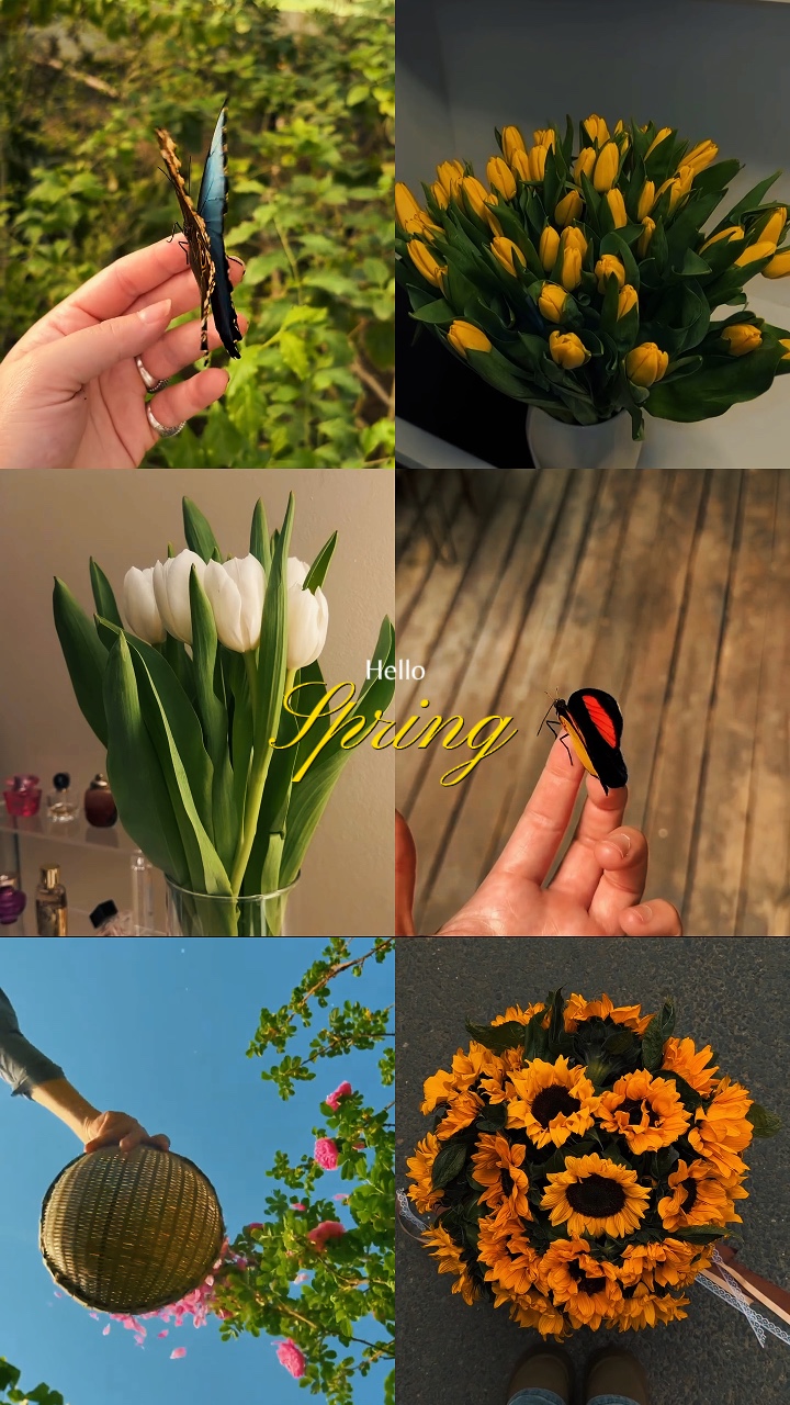 Olá primavera
