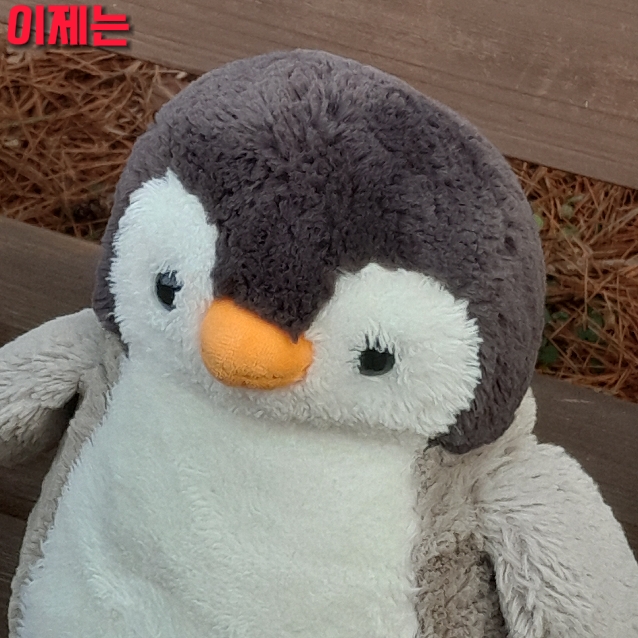 선착 5명 반모방