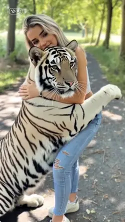 Hug Tiger AI 