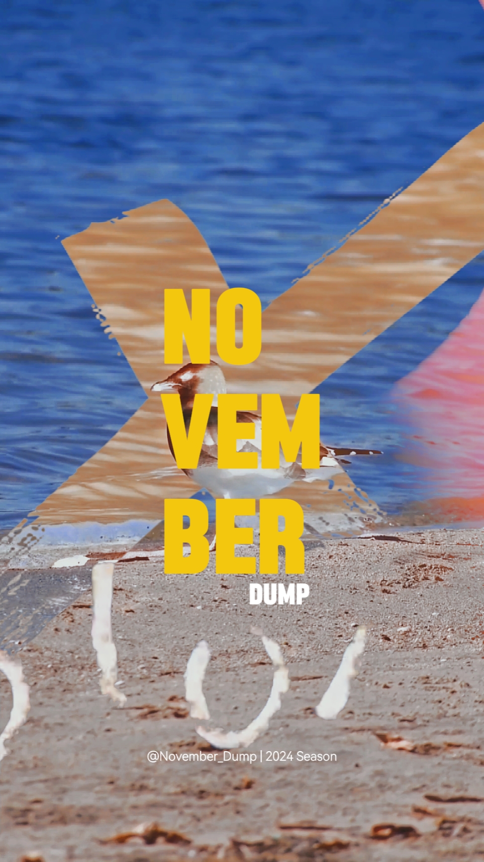 BYE NOVEMBER