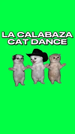 LA CALABAZA KITTENS