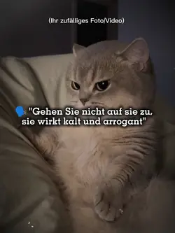 „Ich, wenn Menschen 