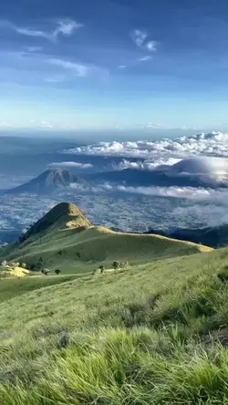 Mardua Holong