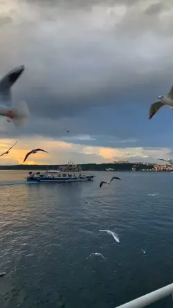 Yeni akım OFFFF
