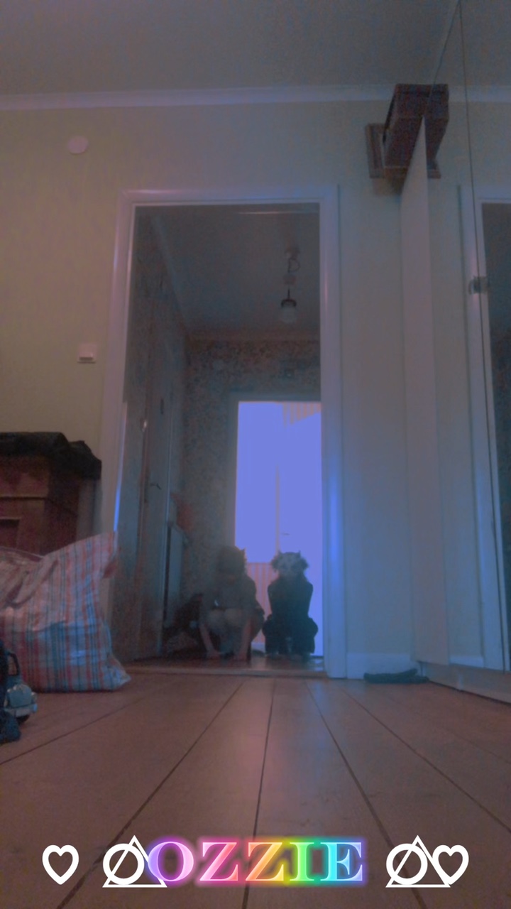 Fasion fasion fasion