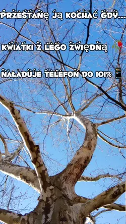 pzestan ją kohac gdy