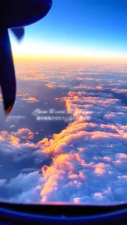 動画1つでできる