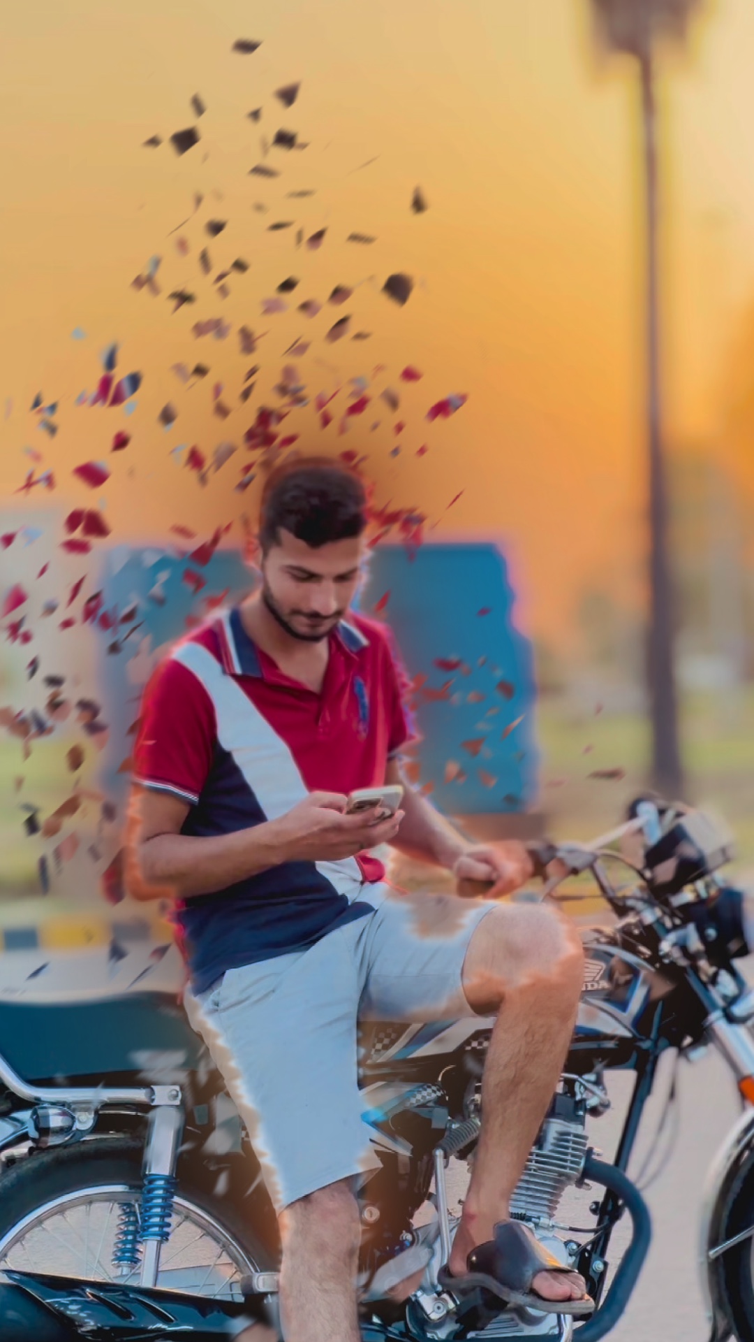 Cover Picture