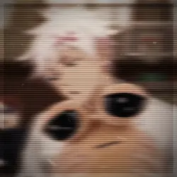 .