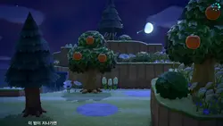 마음에 미움이 트였습니다