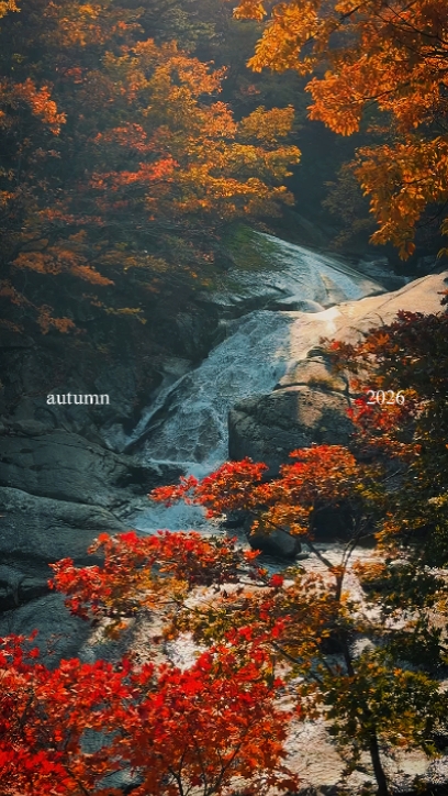 autumn 2026