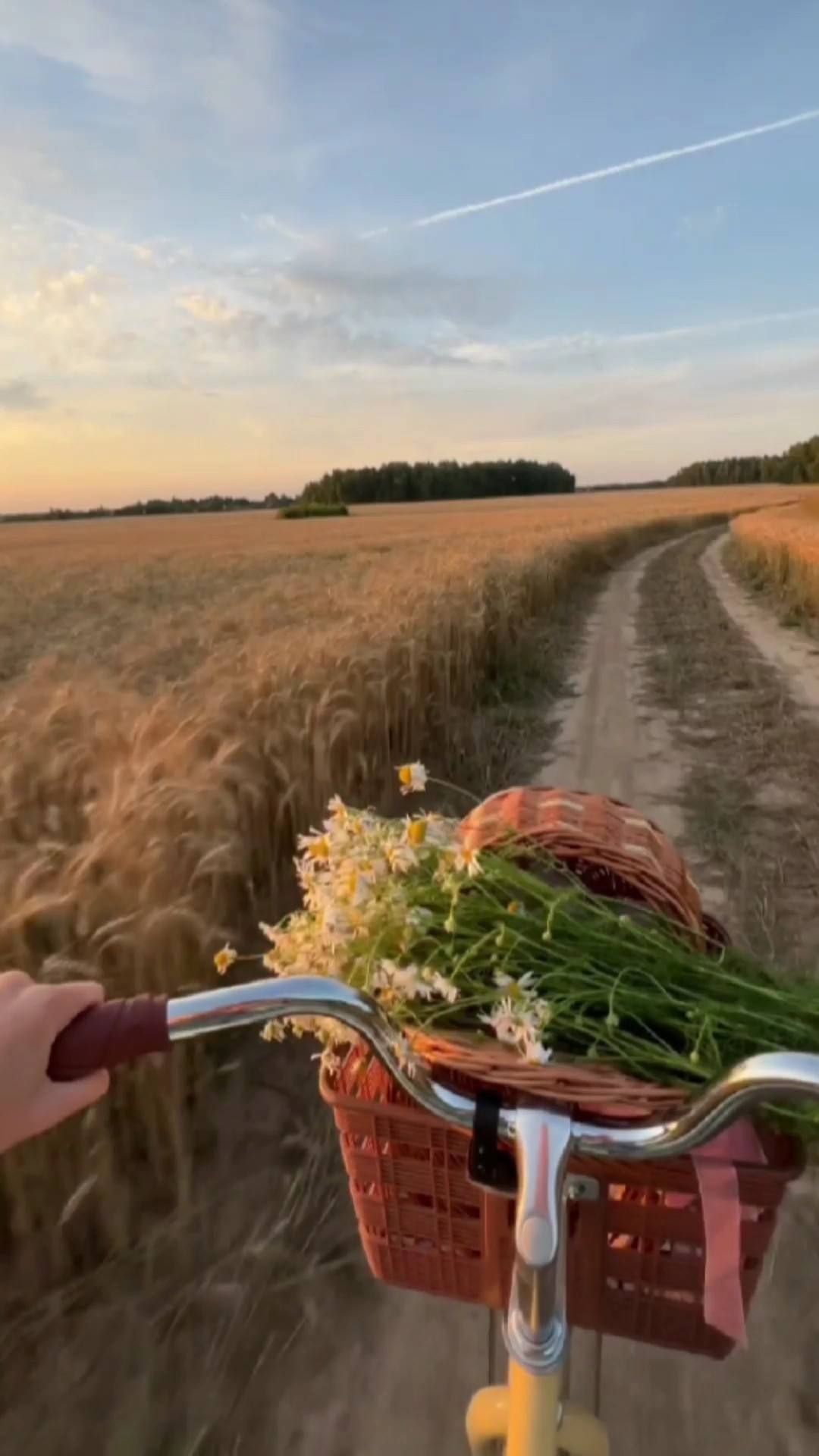 Vlog Estetik