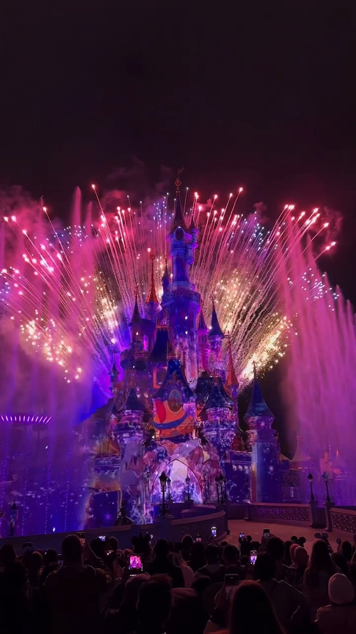 disneyland trip