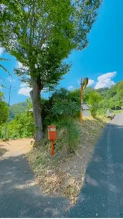 夏の思い出