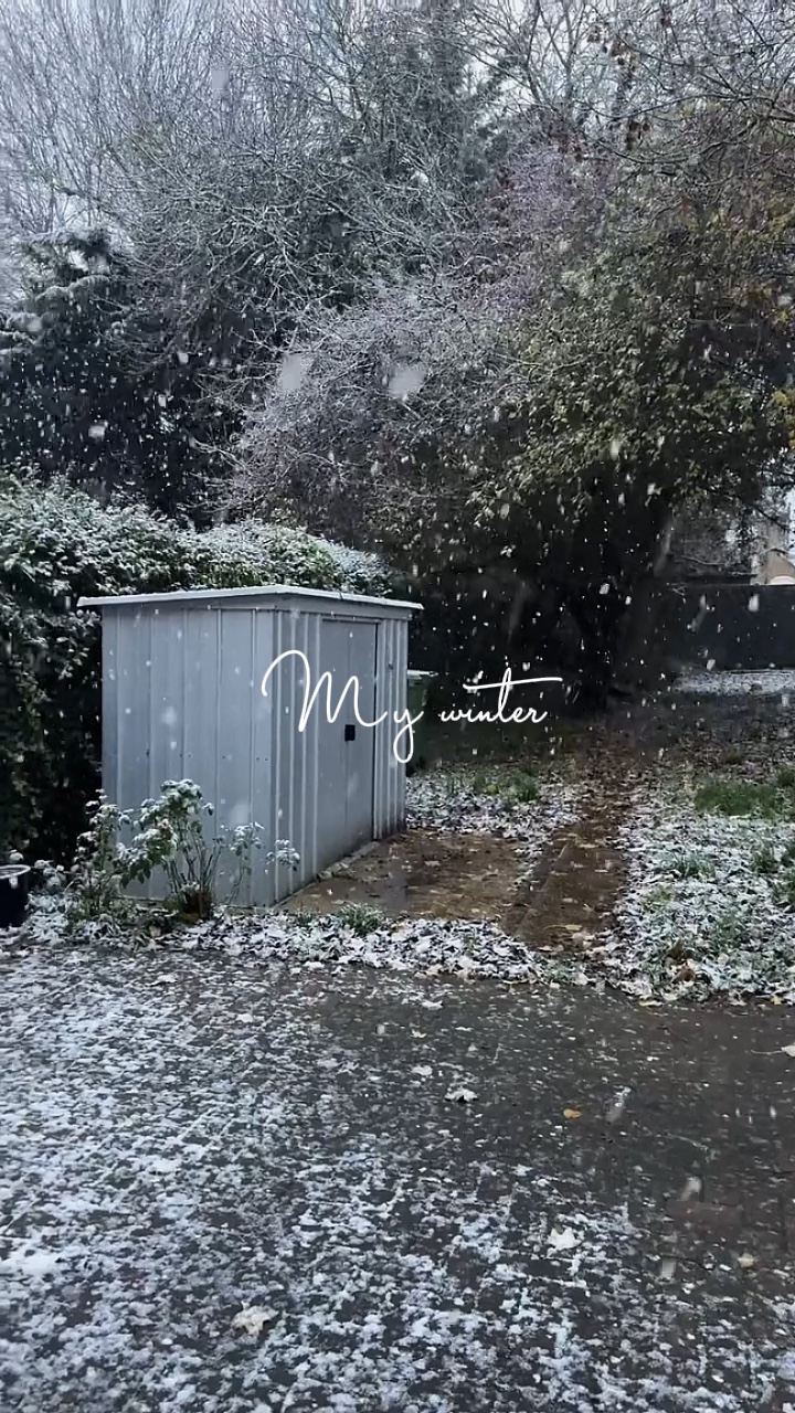 My winter 