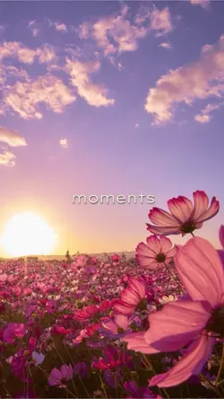 MOMENTS 