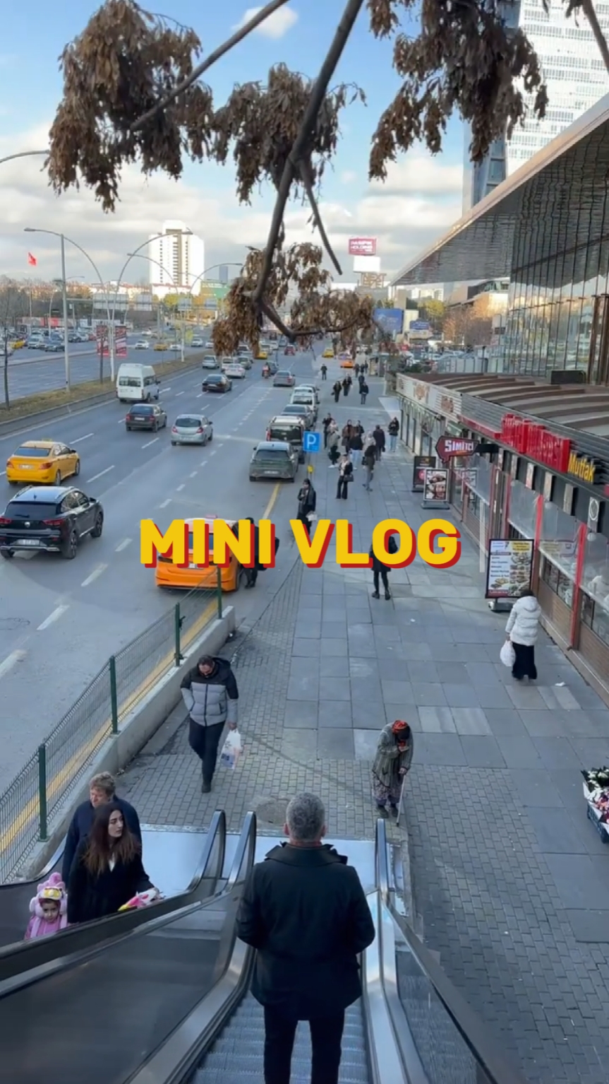 MINI VLOG