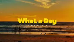what a day