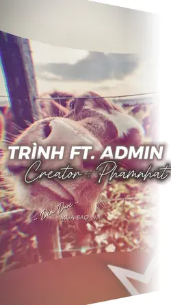 Trình & admin