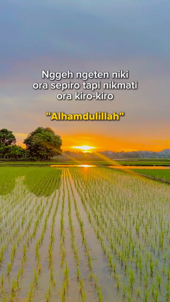 alhamdulillah