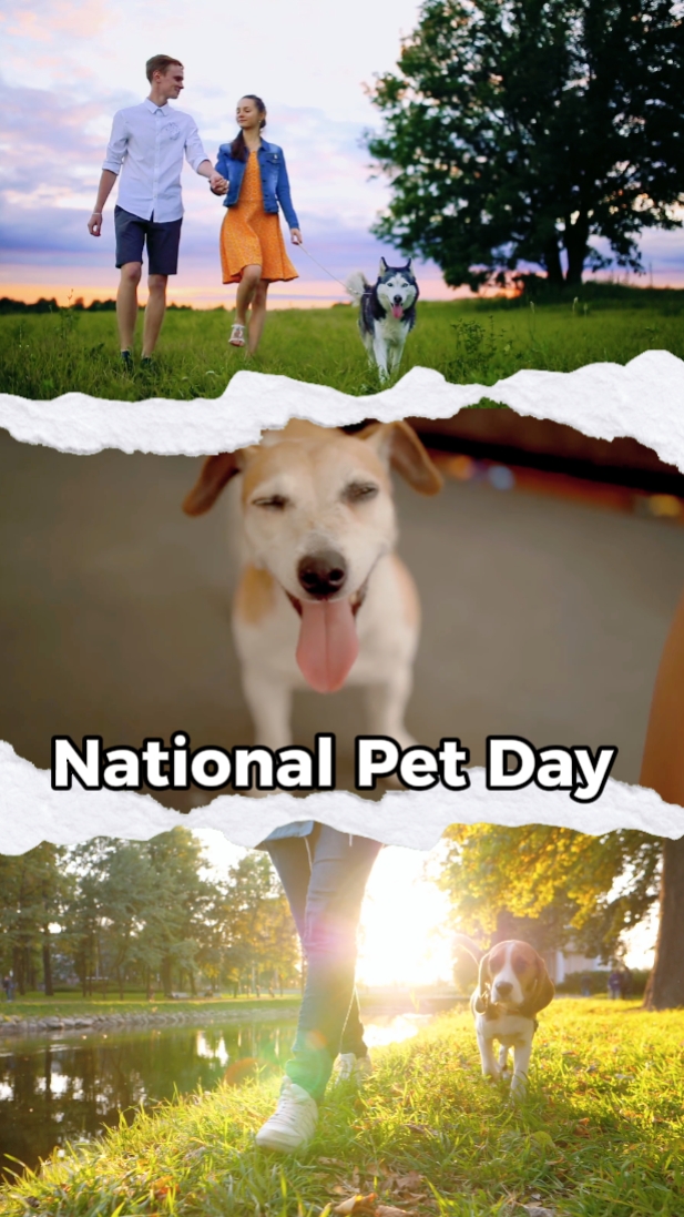 Dia Nacional do Animal de Estimação