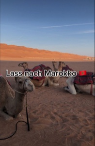 Größter Traum ❤️