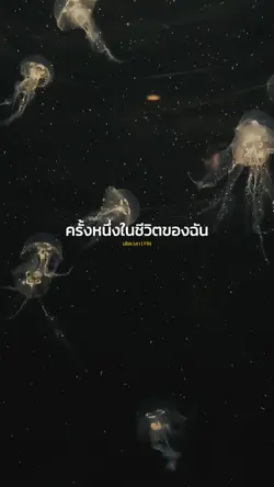 ครั้งหนึ่งในชีวิตของ