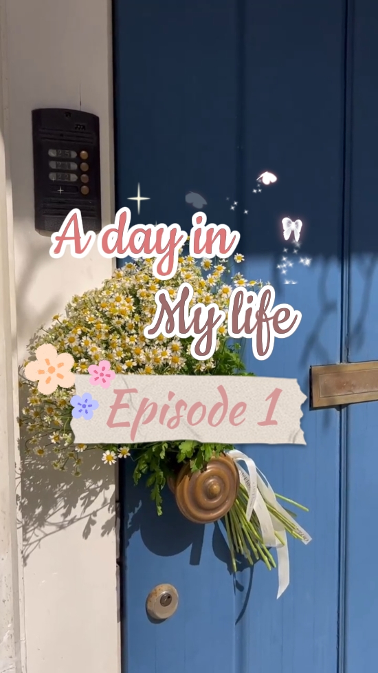 Abertura do vlog diário