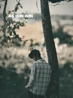 বড় একা একা লাগে আমার