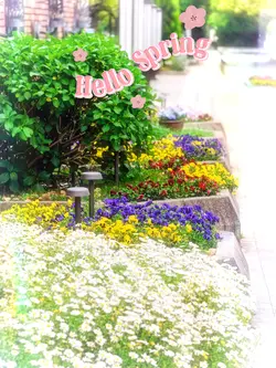 Hello Spring