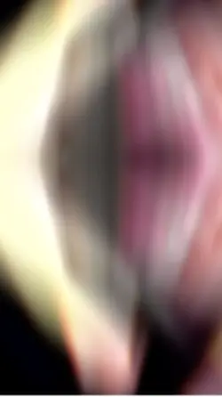 Rashid khan🦋💙-