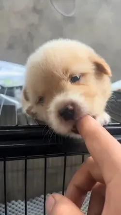 my name is billy